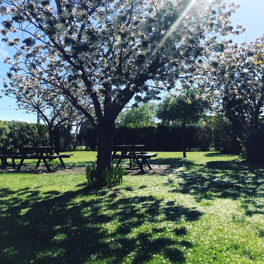 Pinot Villas Martinborough Dış mekan fotoğraf