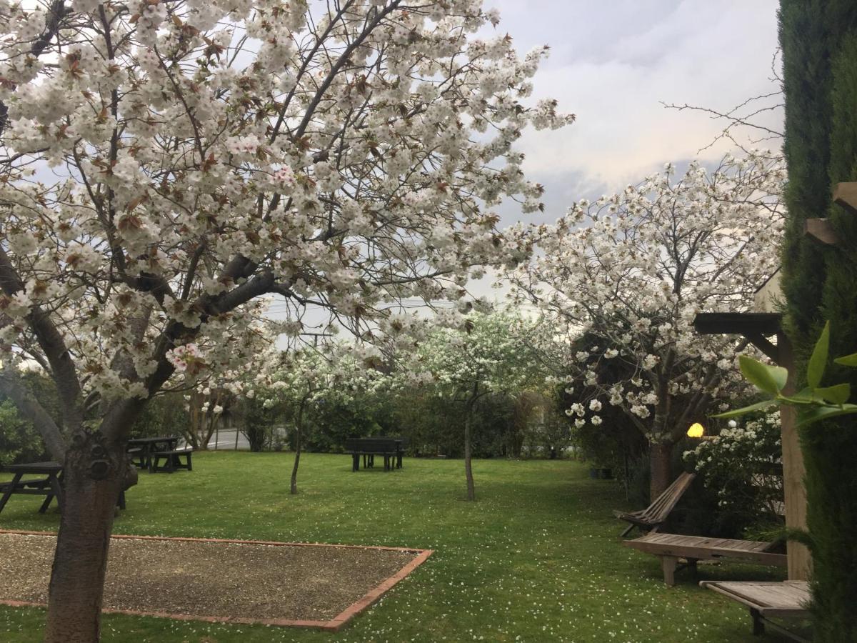Pinot Villas Martinborough Dış mekan fotoğraf