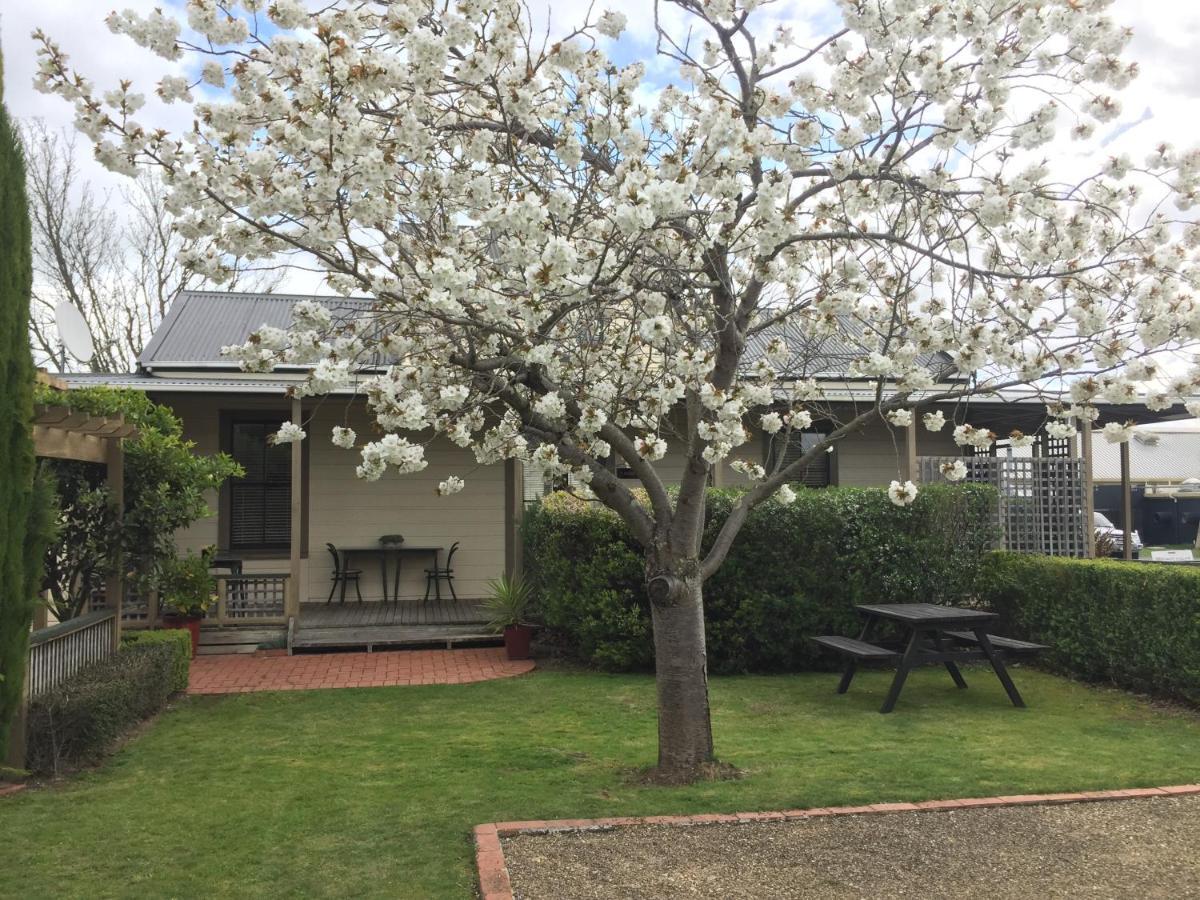 Pinot Villas Martinborough Dış mekan fotoğraf