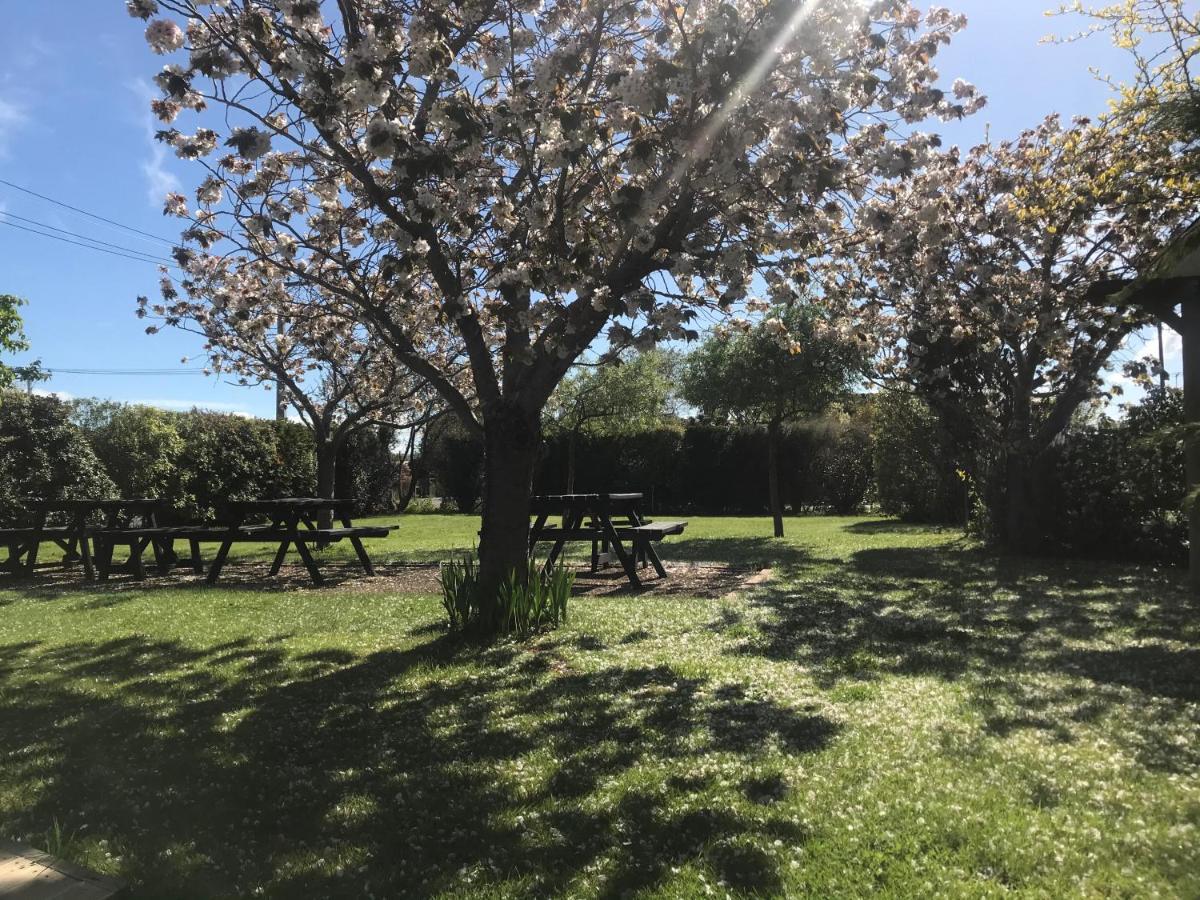 Pinot Villas Martinborough Dış mekan fotoğraf